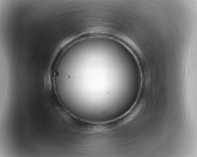 X0000099980974200805231421