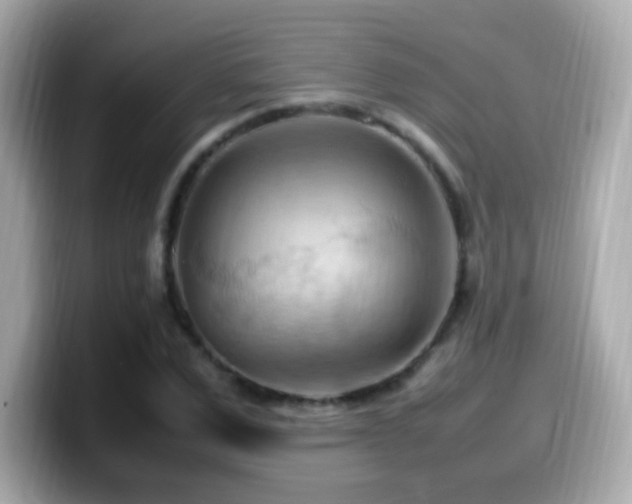 X0000099980975200805231421