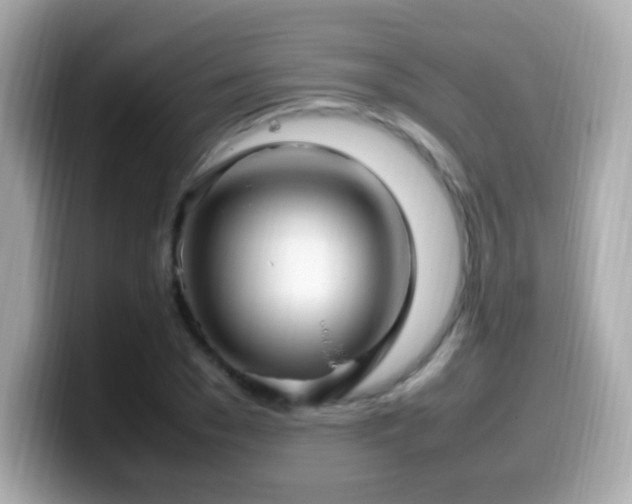 X0000099980977200805231421