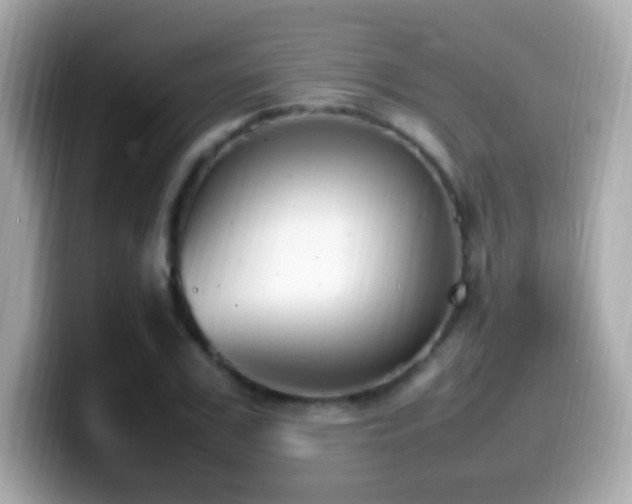 X0000099980979200805231421