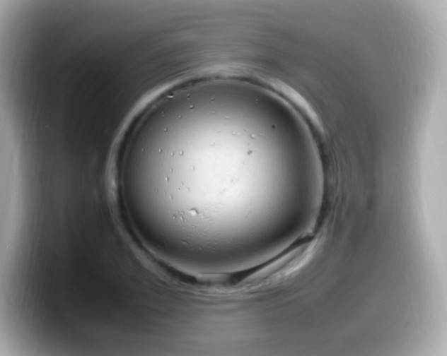 X0000099980981200805231421