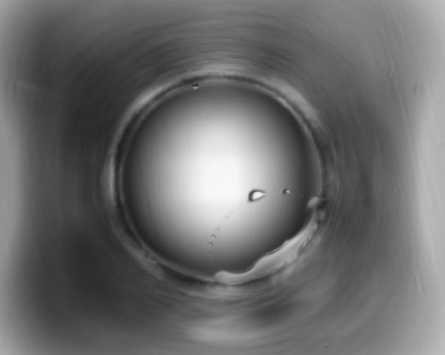 X0000099980982200805231421