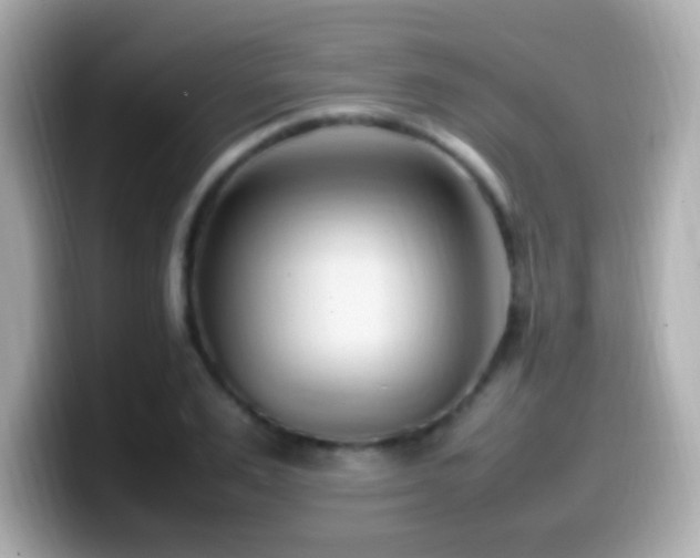 X0000099980983200805231421