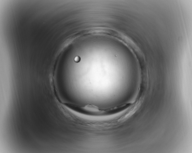 X0000099980985200805231421