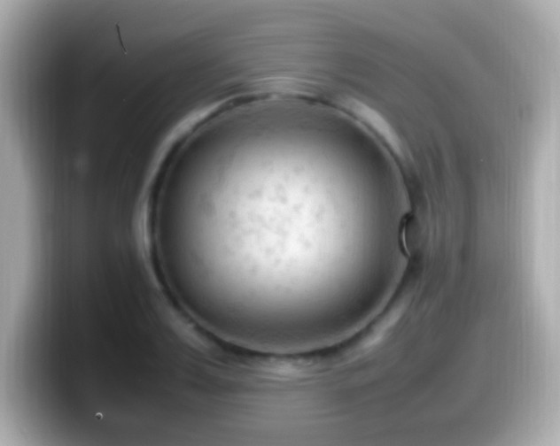 X0000099980987200805231421