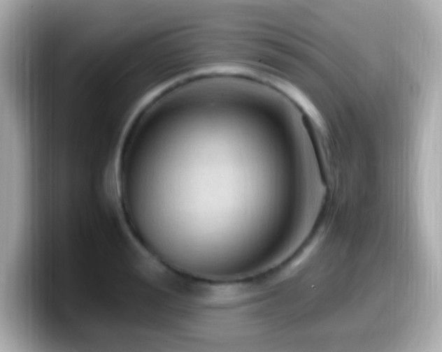 X0000099980988200805231421