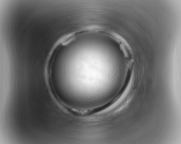 X0000099980989200805231421
