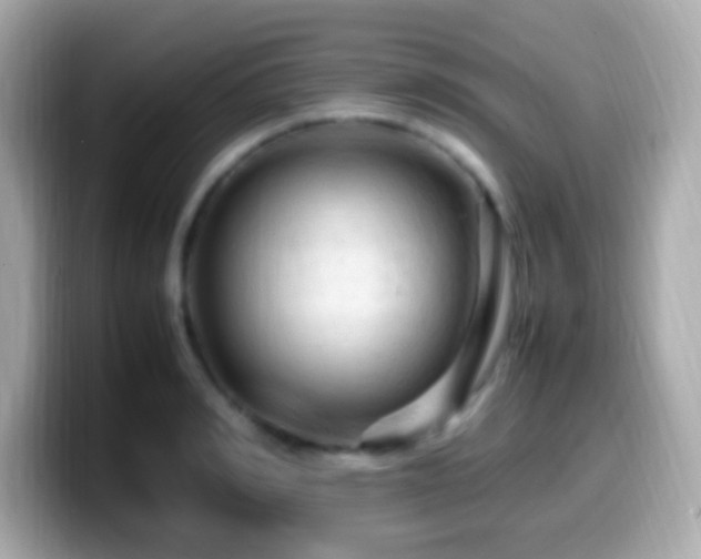 X0000099980990200805231421