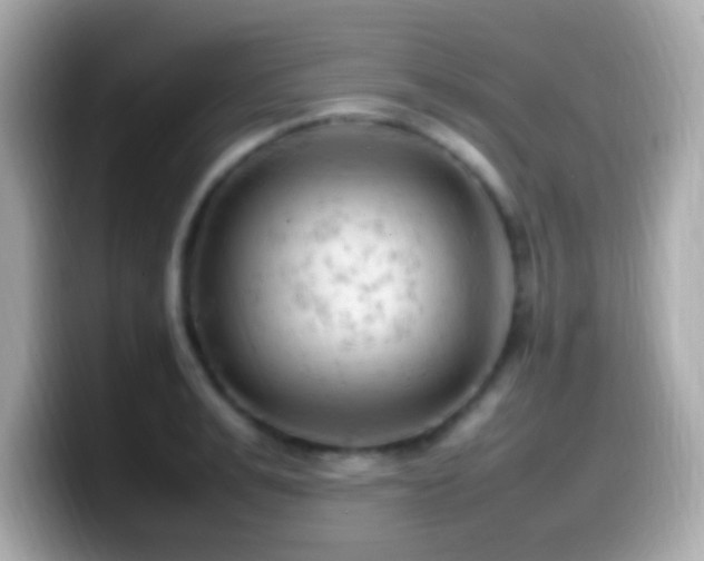 X0000099980991200805231421