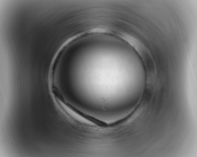 X0000099980992200805231421