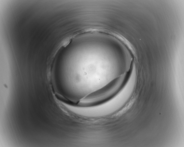 X0000099980993200805231421
