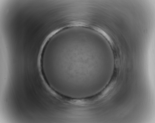 X0000099980995200805231421
