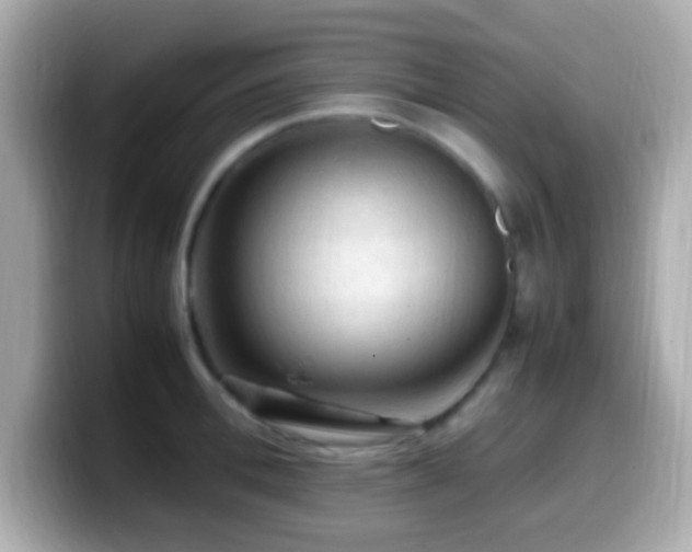 X0000099980996200805231421
