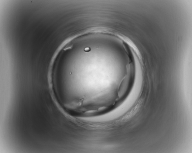 X0000099980997200805231421