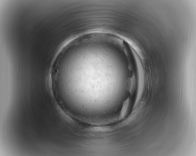 X0000099980998200805231421