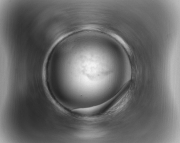 X0000099980999200805231421