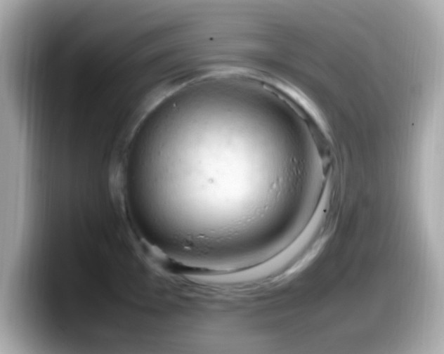 X0000099981001200805231421