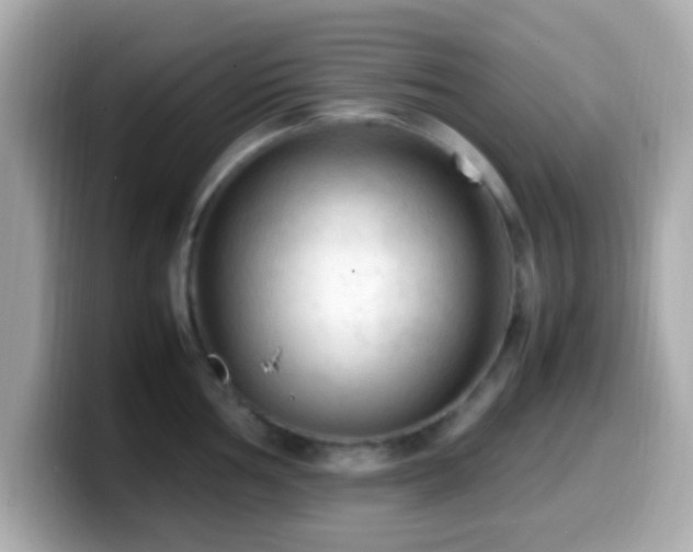 X0000099981002200805231421
