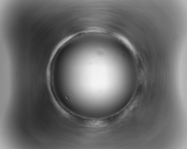 X0000099981003200805231421
