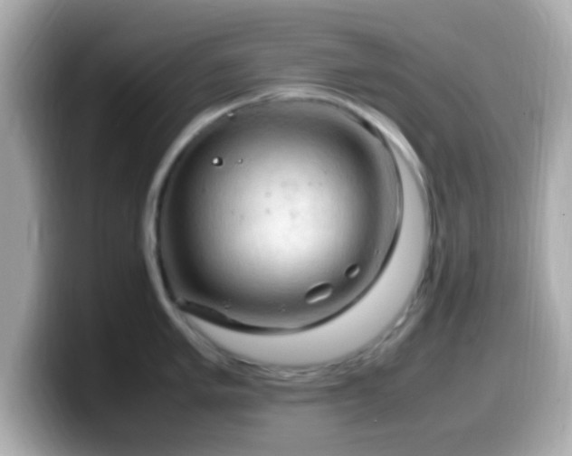 X0000099981005200805231421