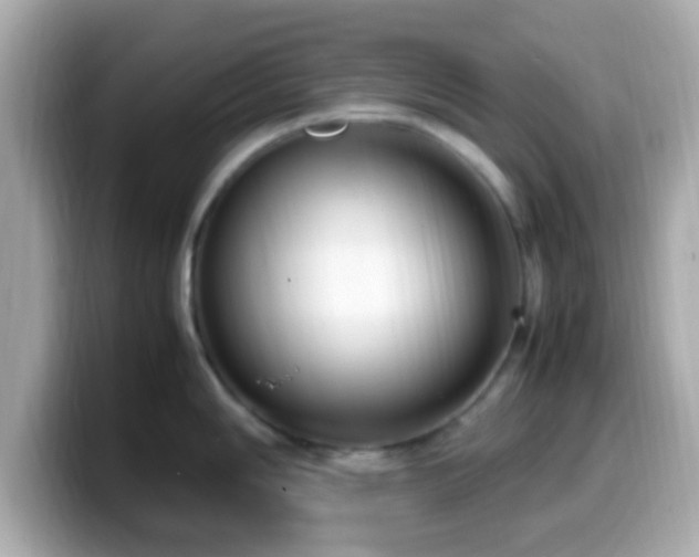 X0000099981006200805231421