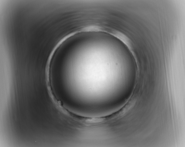 X0000099981008200805231421