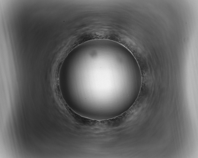 X0000099981009200805231420