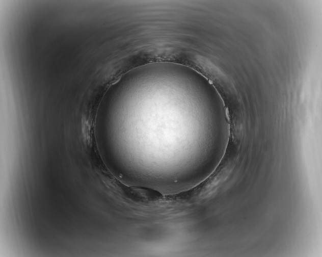 X0000099981010200805231420