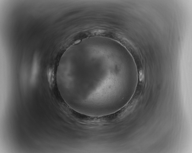 X0000099981011200805231420