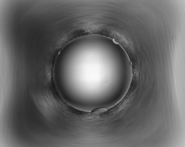 X0000099981012200805231420