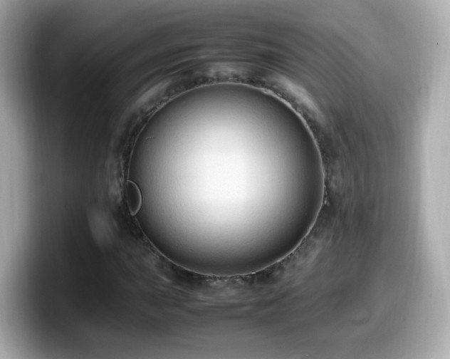 X0000099981015200805231420