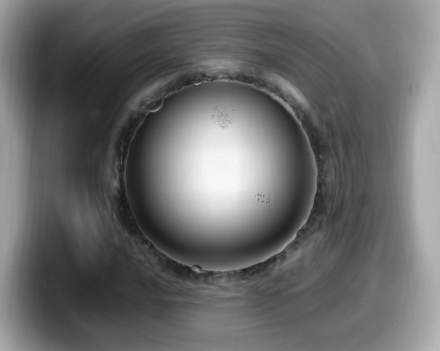 X0000099981016200805231420
