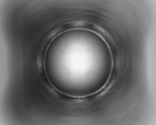 X0000099981017200805231420