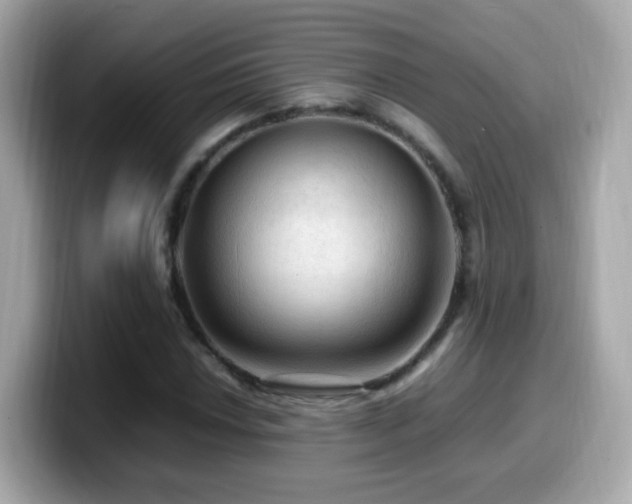 X0000099981018200805231420