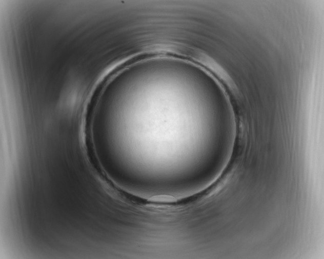 X0000099981020200805231420