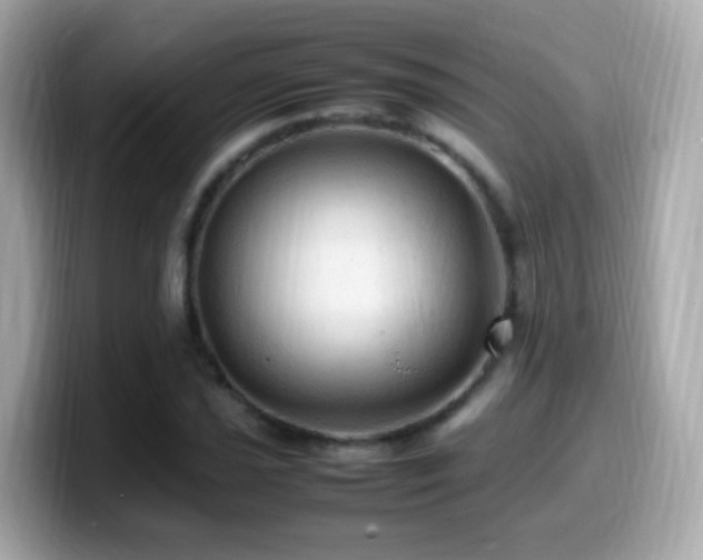 X0000099981021200805231420