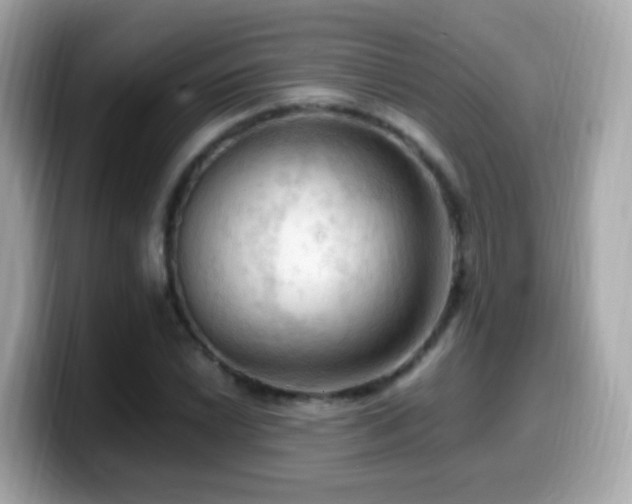 X0000099981022200805231420
