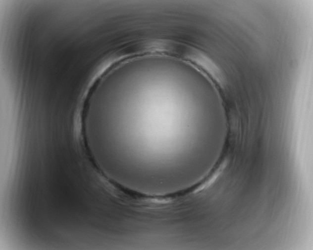 X0000099981023200805231420