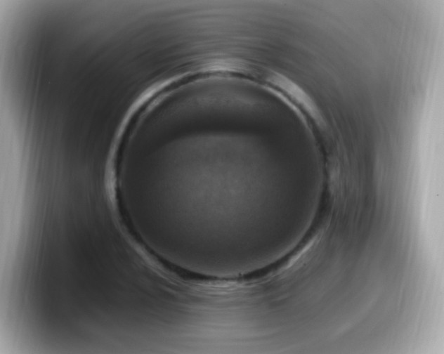 X0000099981024200805231420