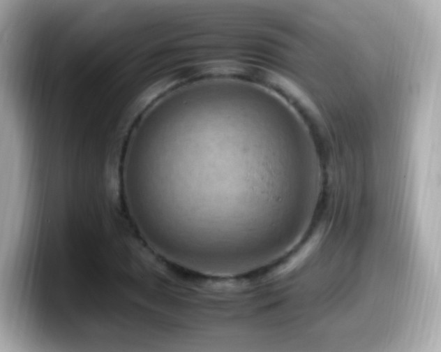 X0000099981025200805231420
