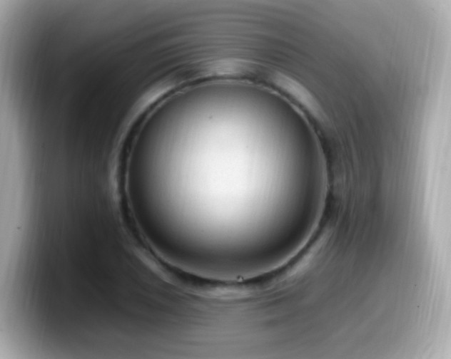 X0000099981026200805231420