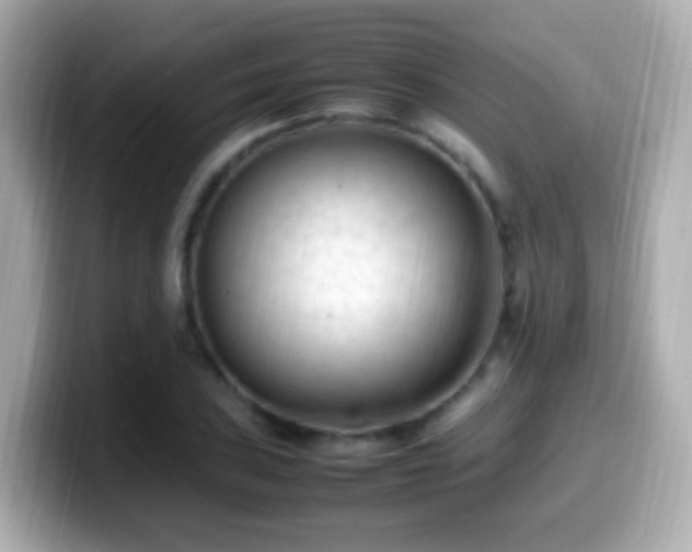 X0000099981027200805231420