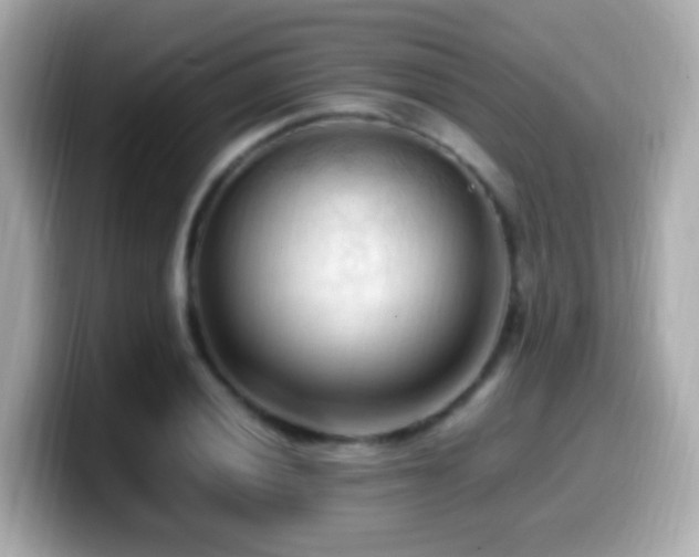 X0000099981028200805231420