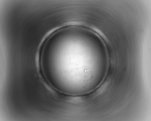 X0000099981030200805231421
