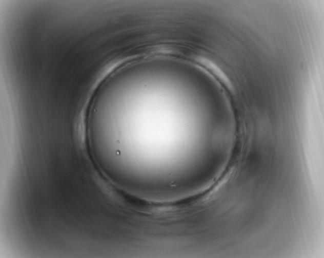 X0000099981031200805231421