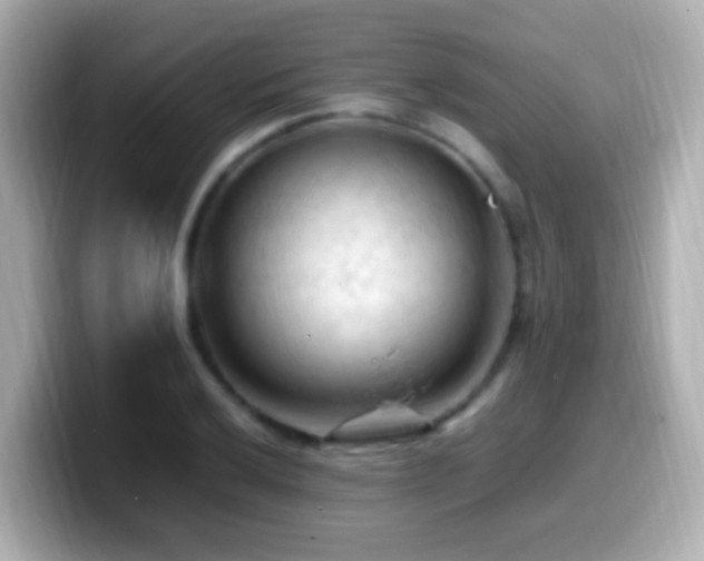 X0000099981032200805231421