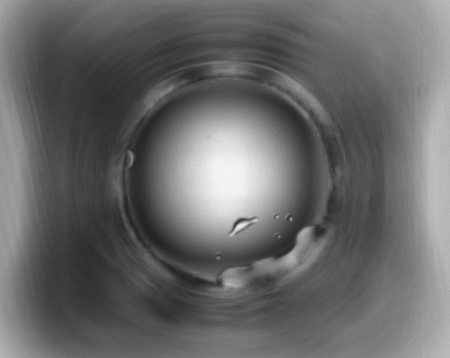 X0000099981033200805231421