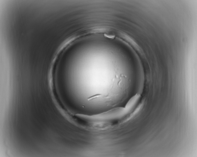 X0000099981034200805231421