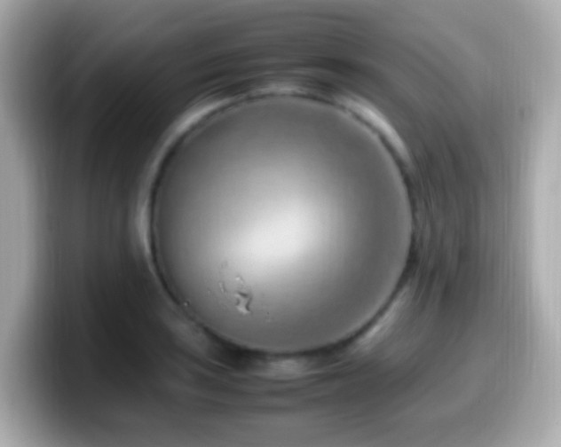 X0000099981035200805231421