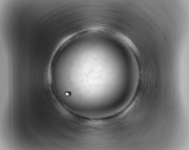 X0000099981036200805231421